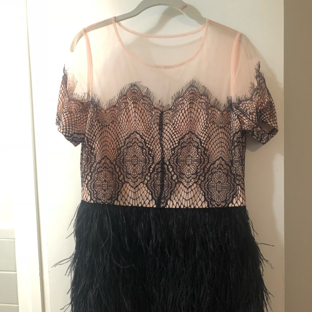 (L) Sugar Lips light pink and black feather dress